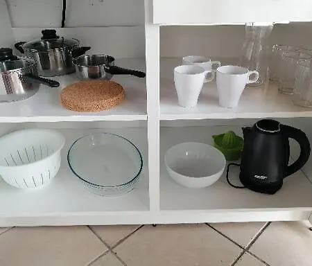 Unique Anica Sobra